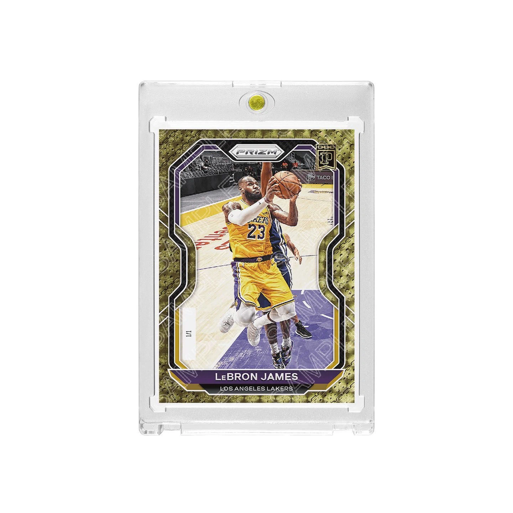 Lakers LeBron James Prizm Snake Pattern Refractor Card with Display Case